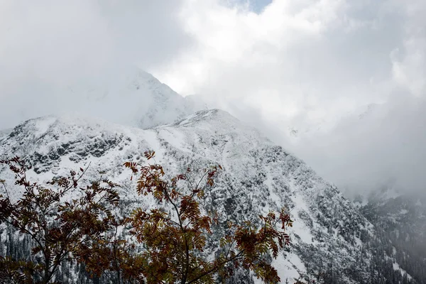 soğuk sabah kış kar ve mavi doğal ile dağlarda
