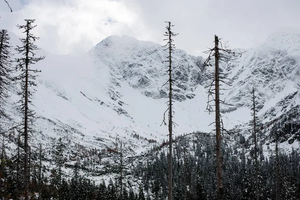 soğuk sabah kış kar ve mavi doğal ile dağlarda