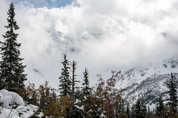 Zimny poranek w górach w zimie z śniegu i niebieski skie — Zdjęcie stockowe