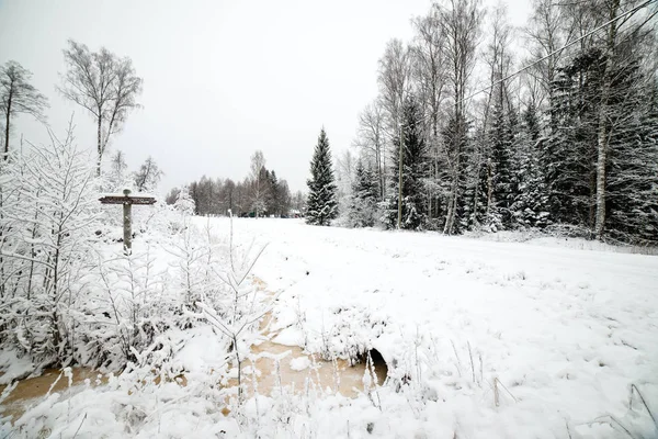 Parco invernale al mattino freddo con neve — Foto Stock