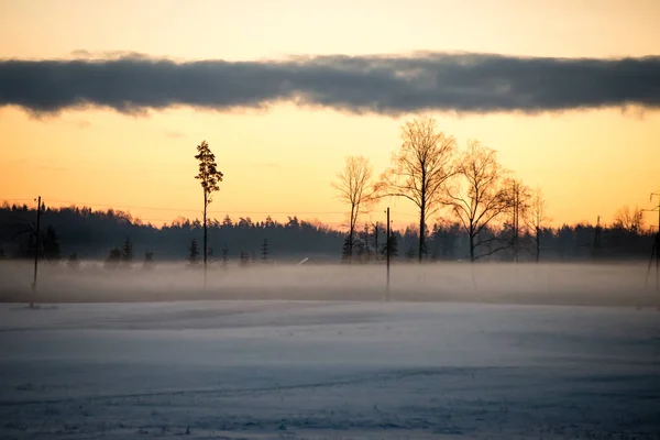 Mañana fría en el campo en invierno — Foto de Stock