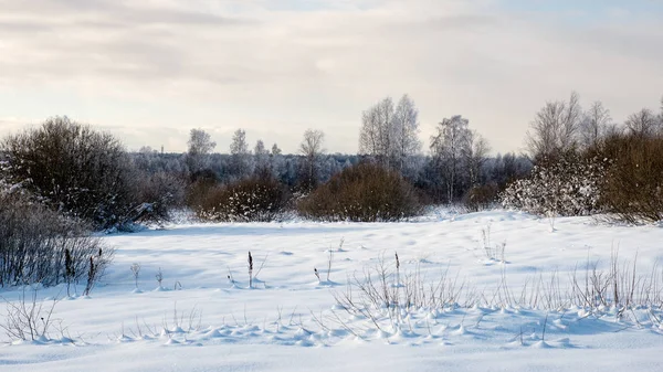 kışın soğuk sabah alanında