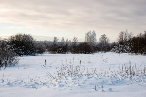kışın soğuk sabah alanında