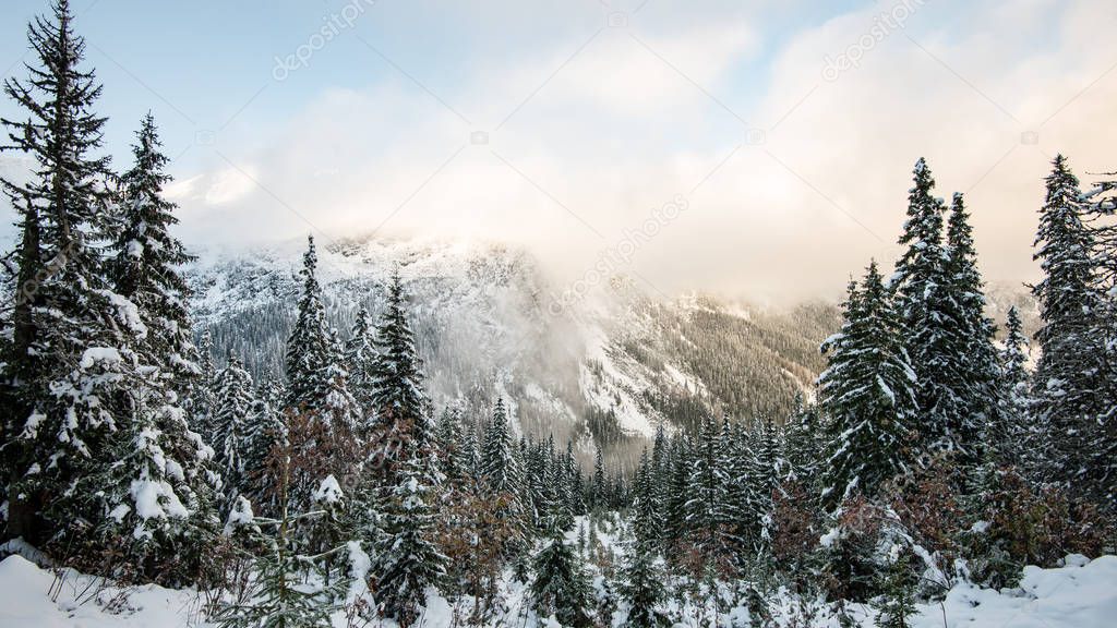 cold morning in the mountains in winter  with snow and blue skie