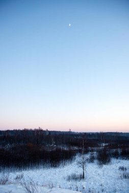 kışın soğuk sabah alanında