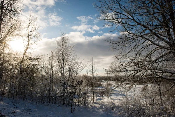 Parque de inverno na manhã fria com neve — Fotografia de Stock