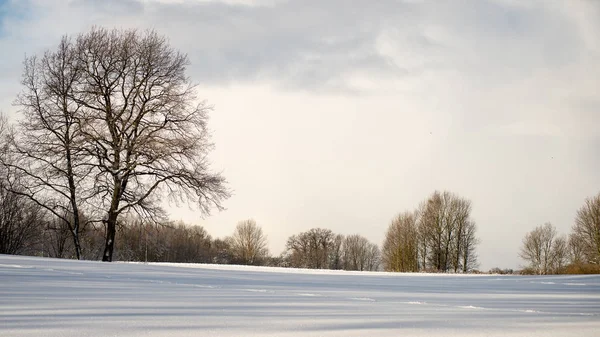 Kalter Morgen auf dem Feld im Winter — Stockfoto