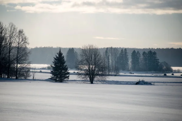 Manhã fria no campo no inverno — Fotografia de Stock