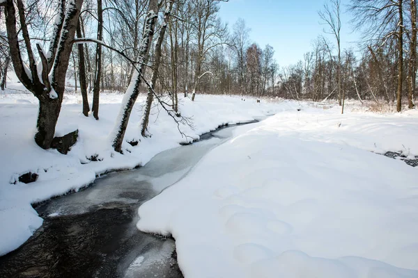 Parque de invierno en la mañana fría con nieve — Foto de Stock