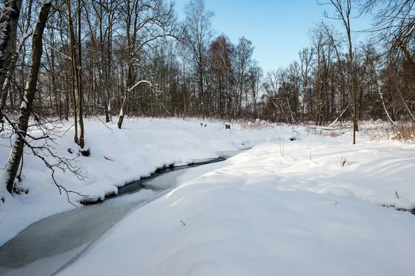 Winter park kar ile soğuk sabah — Stok fotoğraf