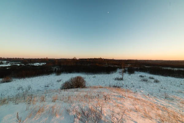 Kalter Morgen auf dem Feld im Winter — Stockfoto
