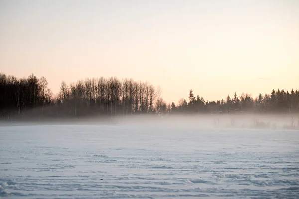 Mañana fría en el campo en invierno — Foto de Stock