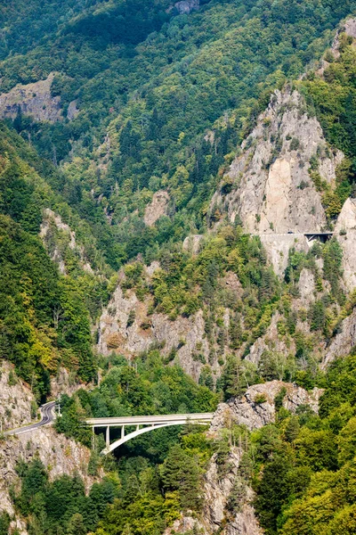 Górska droga i most w lesie — Zdjęcie stockowe