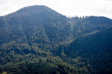 Karpatlar görünümünde renkli kırsal