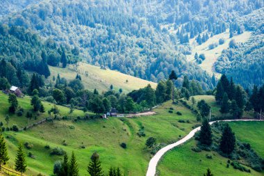 dağ yol ve köprü ormandaki
