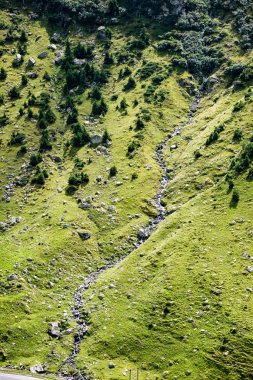 Karpatlar görünümünde renkli kırsal