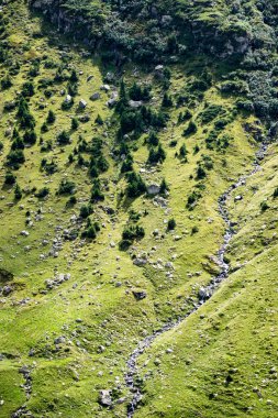 Karpatlar görünümünde renkli kırsal