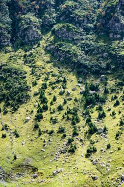 Karpatlar görünümünde renkli kırsal