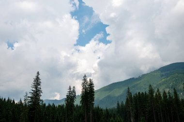 Karpatlar görünümünde renkli kırsal