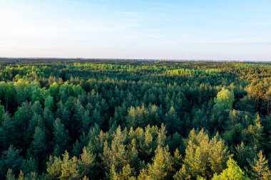 Karpatlar görünümünde renkli kırsal