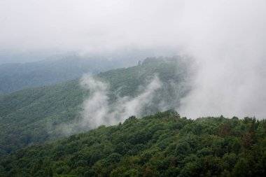 Karpatlar görünümünde renkli kırsal