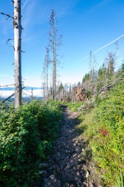 Karpatlar görünümünde renkli kırsal