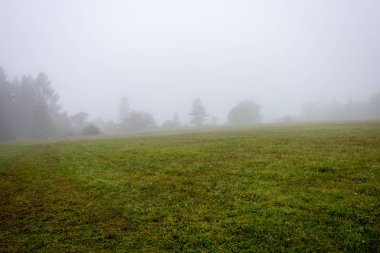 Karpatlar görünümünde renkli kırsal