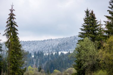 Karpatlar görünümünde renkli kırsal