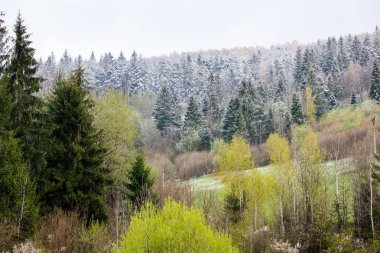 Karpatlar görünümünde renkli kırsal