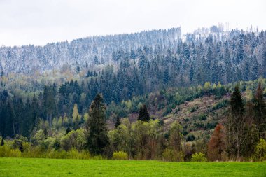 Karpatlar görünümünde renkli kırsal