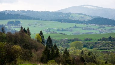Karpatlar görünümünde renkli kırsal