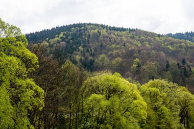 Karpatlar görünümünde renkli kırsal