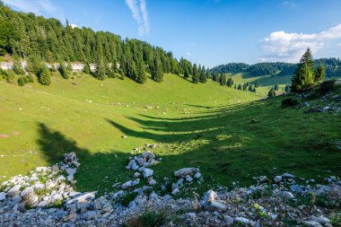 Karpatlar görünümünde renkli kırsal