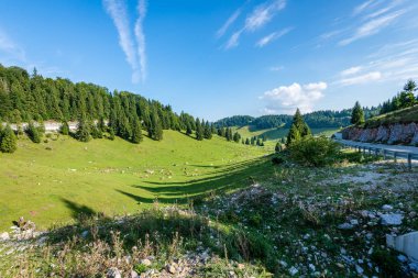 Karpatlar görünümünde renkli kırsal