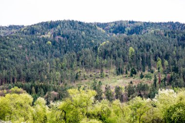 Karpatlar görünümünde renkli kırsal