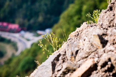 Karpatlar görünümünde renkli kırsal
