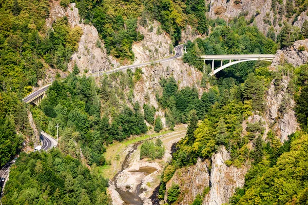 Bergsväg och bron i skogen — Stockfoto