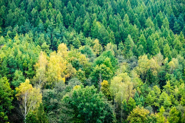 Karpatlar görünümünde renkli kırsal — Stok fotoğraf