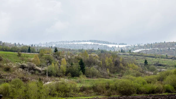 Colorful countryside view in carpathians — Stock Photo, Image