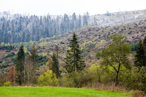 Kleurrijke landschap weergave in de Karpaten — Stockfoto