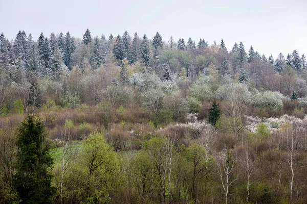 Vista rural colorido em carpathians — Fotografia de Stock
