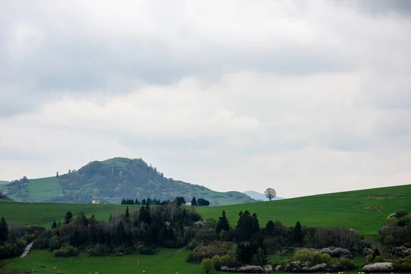 Karpatlar görünümünde renkli kırsal — Stok fotoğraf