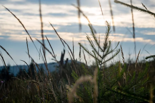 Colorful countryside view in carpathians — Stock Photo, Image