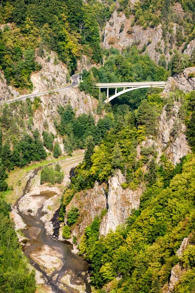 Bergsväg och bron i skogen — Stockfoto