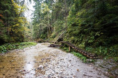 Sonbaharda dağ nehri