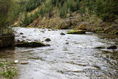 Yazın dağ nehri