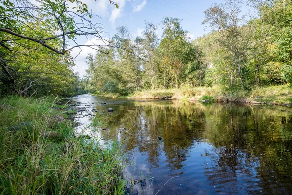 Río de montaña en verano —  Fotos de Stock