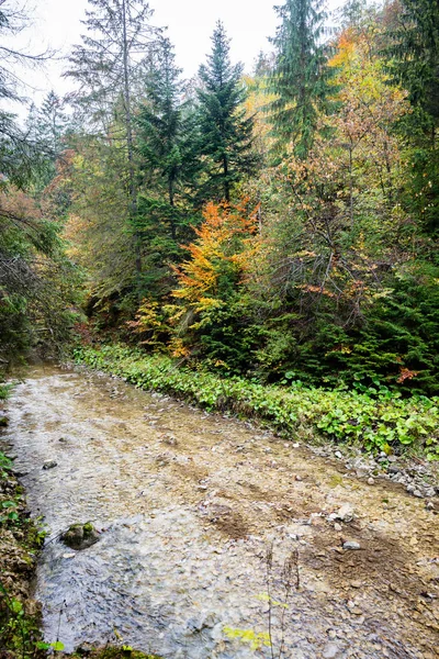 Górska rzeka jesienią — Zdjęcie stockowe