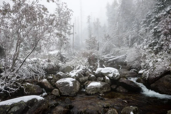 Kışın kayalık şelale — Stok fotoğraf