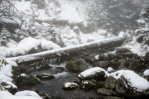 Cascade rocheuse en hiver — Photo